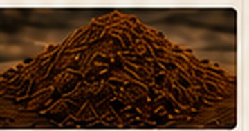 Coco peat